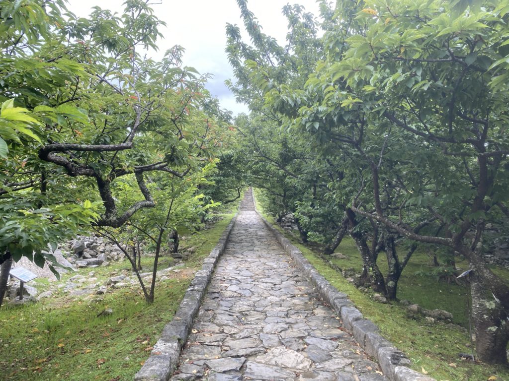 沖縄の世界遺産【今帰仁城趾（なきじんじょうし）】に行って写真をいっぱい撮ってきました