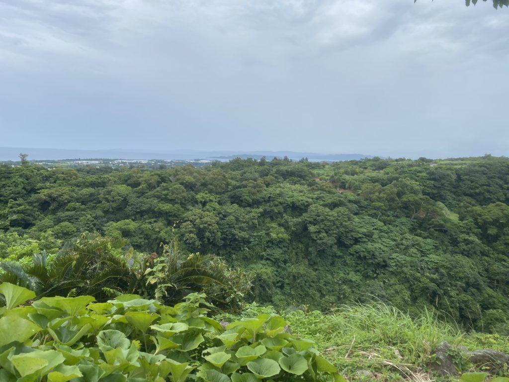 沖縄の世界遺産【今帰仁城趾（なきじんじょうし）】に行って写真をいっぱい撮ってきました