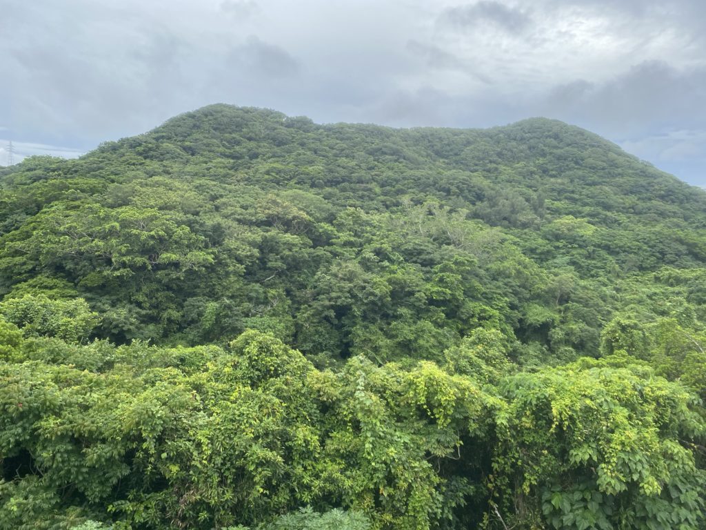 沖縄の世界遺産【今帰仁城趾（なきじんじょうし）】に行って写真をいっぱい撮ってきました