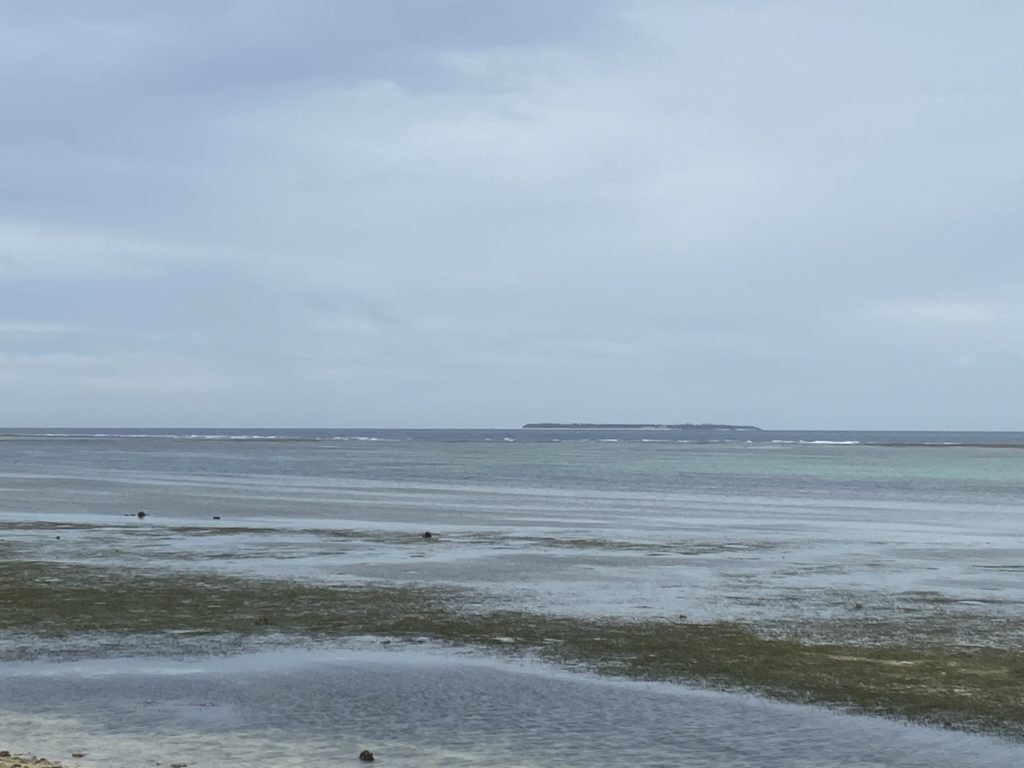 沖縄の備瀬にある【フクギ並木】観光スポットのひとつ写真をいっぱい撮ってきました。