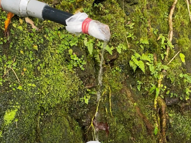 沖縄の大国林道で湧き水が出ています。やんばるまで水をくみに♪