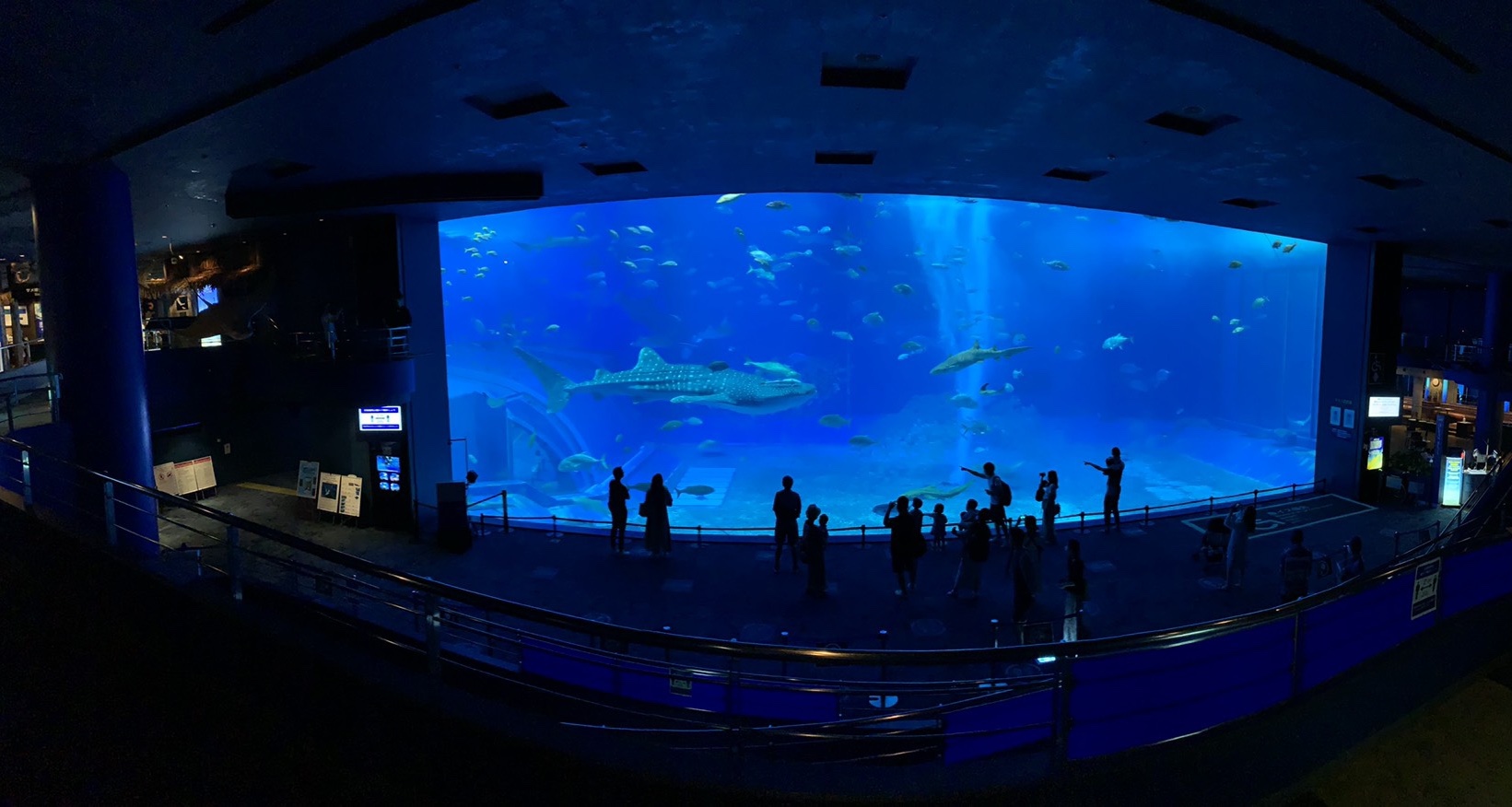 美ら海水族館、コロナ対策し一部再開してました～