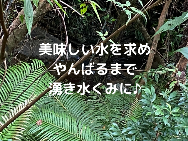 最後まで読んで頂き、ありがとうございます。(*^_^*)感謝です。 今後も宜しくお願いします。(*´∇`)ﾉ ﾖﾛｼｸﾈ～♪